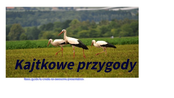Kajtkowe przygody
