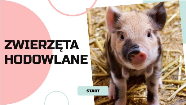 Zwierzęta Hodowlane Sprawdzian Klasa 2