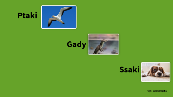 Gady Ptaki Ssaki Sprawdzian Liceum view.genially.com