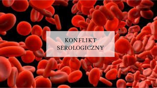 konflikt serologiczny | Genially