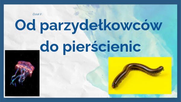 Od Parzydełkowców Do Pierścienic Test Klasa 6 Pdf view.genially.com
