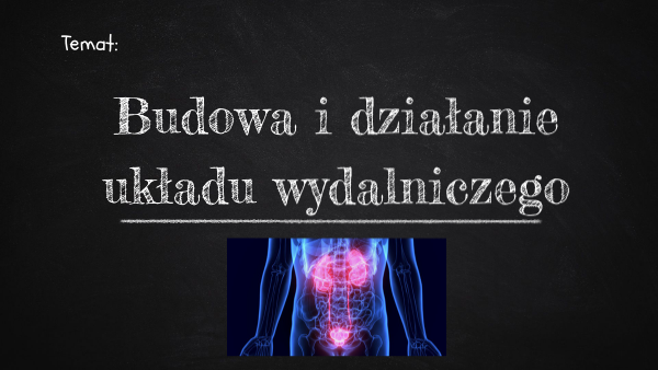 Sprawdzian Uklad Wydalniczy Klasa 7 Układ wydalniczy- klasa 7 | Genially