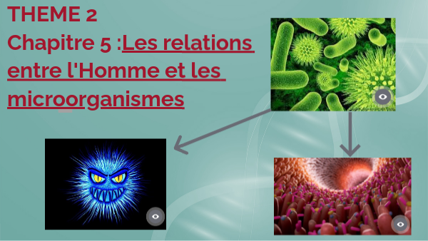 Chapitre 4 (2) | Genially