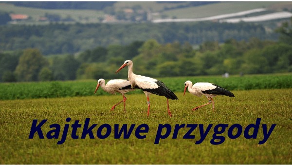 36. kajtkowe przygody NT 3 | Genially