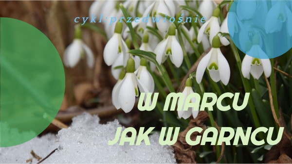 Bo W Marcu Jak W Garncu Rechu Rech IV.6.W marcu jak w garncu NT 1 | Genially