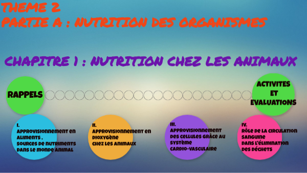 NUTRITION CHEZ LES ANIMAUX | Genially