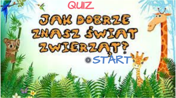 QUIZ O ZWIERZĘTACH | Genially