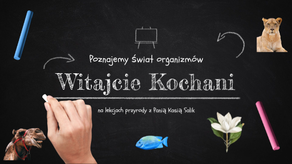 Poznajemy Swiat Organizmow Klasa 4 Testy