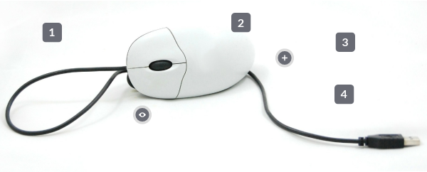 Interactive image