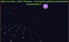 Copie - Image interactive | Genially