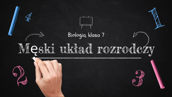 Układ Rozrodczy Męski Klasa 4 Układ rozrodczy męski | Genially