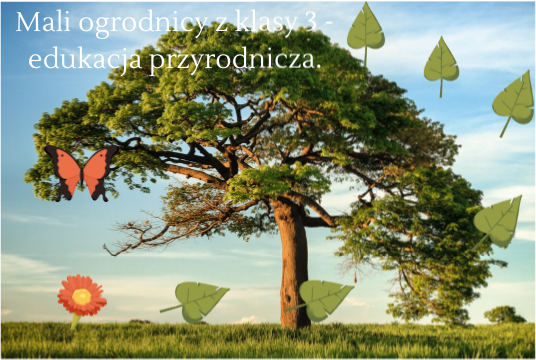 Hodowla fasolki-edukacja przyrodnicza klasa 3 | Genially