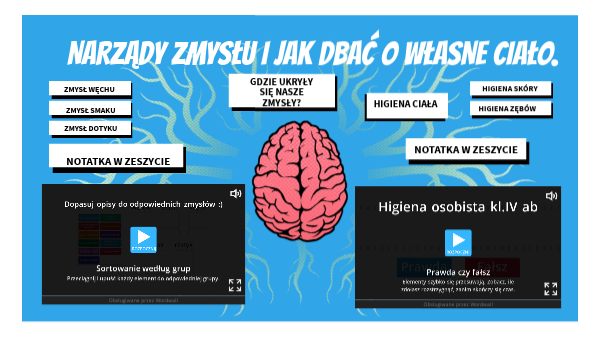 Sprawdzian Z Biologii Narządy Zmysłów Chomikuj NARZĄDY ZMYSŁÓW | Genially