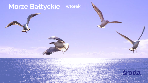 Morze Bałtyckie Edyta Maćkowska