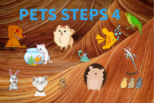 Steps Plus Klasa 4 Testy Pdf - PETS STEPS PLUS KLASA 4 | Genially