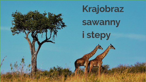 Krajobraz Sawanny I Stepu view.genially.com