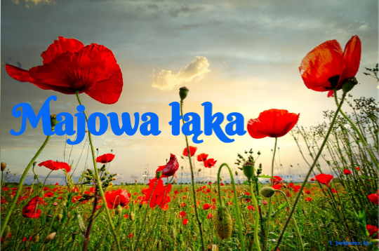 Majowa łąka, kl. 1 | Genially