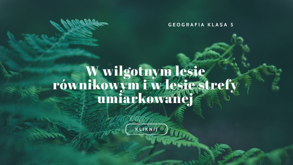 Las równikowy i umiarkowany | Genially