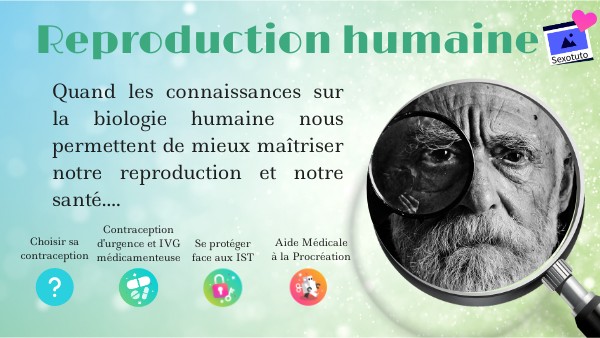 Reproduction humaine | Genially