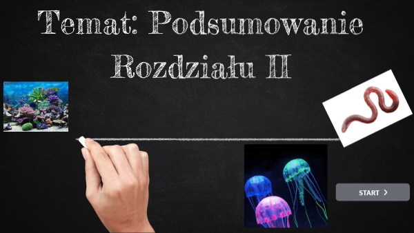 Od Parzydełkowców Do Pierścienic Test Klasa 6 Pdf