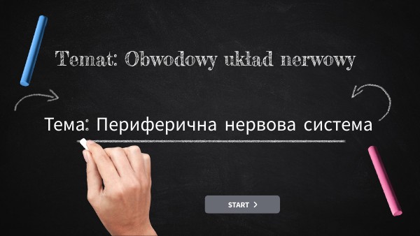 Sprawdzian Uklad Nerwowy Biologia Kl.7 kl 7 Obwodowy układ nerwowy | Genially
