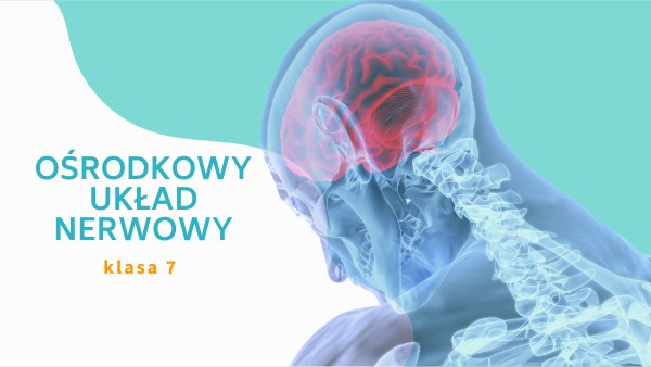 Sprawdzian Uklad Nerwowy Biologia Kl.7 - OŚRODKOWY UKŁAD NERWOWY kl. 7 | Genially