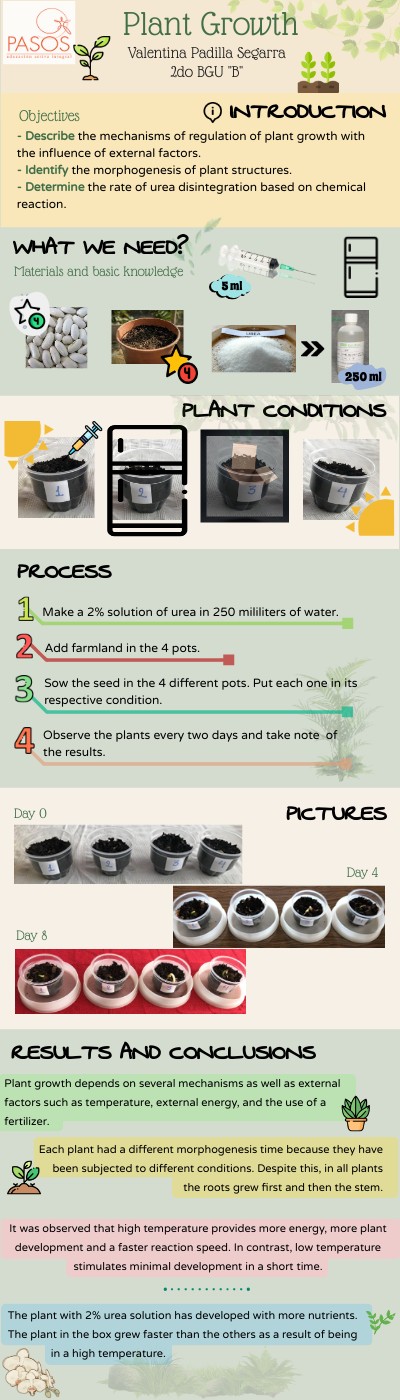 Plant Growth | Genially