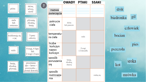 OWADY, PTAKI, SSAKI | Genially