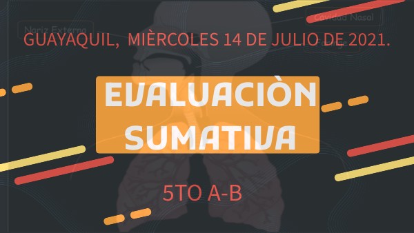 14/07/21 CC.NN. EVALUACIÒN SUMATIVA | Genially