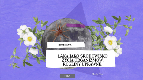 Łąka i pole | Genially