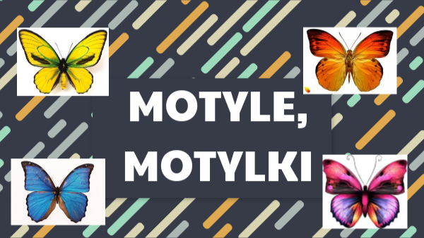 motyle