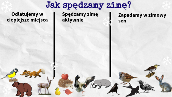 Sprawdzian Klasa 3 Podstawowa Jak Zwierzęta Spędzają Zime