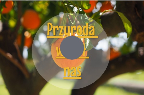 Przyroda Wokol Nas Dzial Ii Sprawdzian Klasa 4 klasa 1 Przyroda wokół nas | Genially
