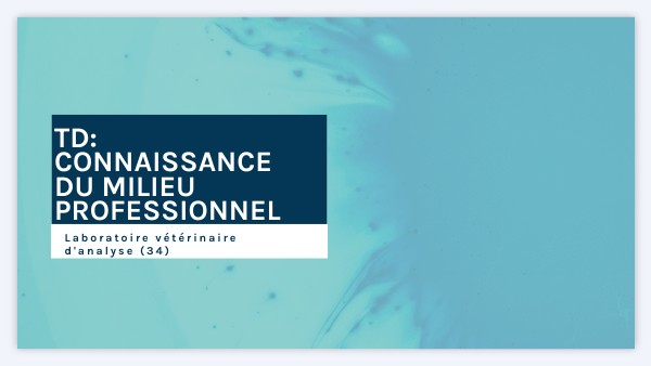 TD Connaissances du milieu professionnel SARRAZIN Laura