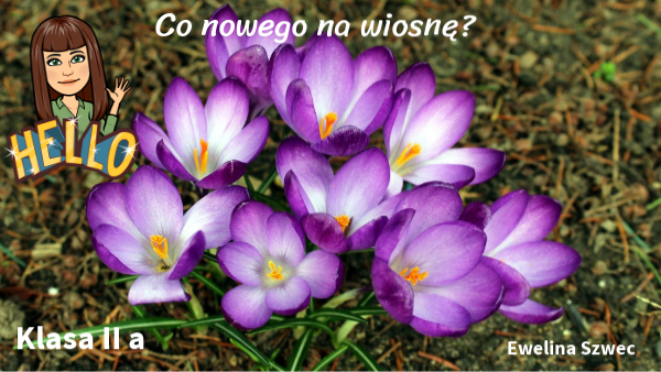 Co nowego na wiosnę?-klasa II a- Ewelina Szwec | Genially