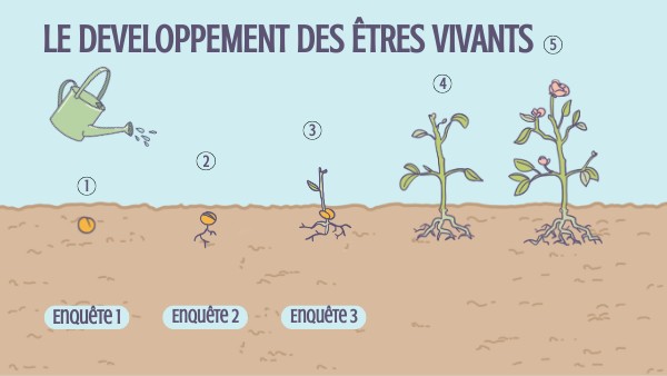 Le Developpement Des Etres Vivants 6ème Page De Garde Le développement des êtres vivants | Genially