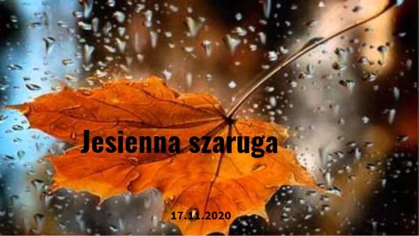 Jesienna szaruga
