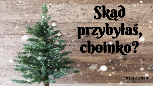 Skąd przybyłaś, choinko? | Genially