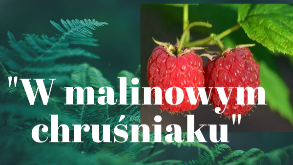 W Malinowym Chruśniaku Interpretacja W malinowym chruśniaku copy | Genially
