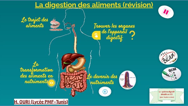 Evaluation Svt 5ème Alimentation Et Digestion view.genially.com