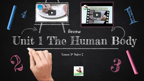 Review The Human Body 3º | Genially