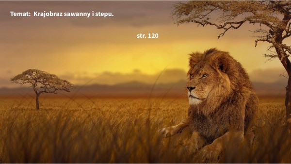 20 LEKCJA - 5 KL. Krajobraz sawanny i stepu | Genially