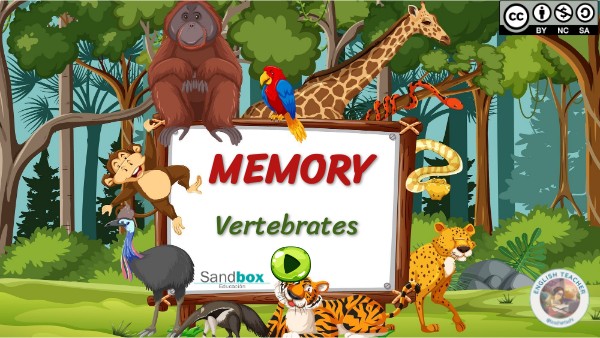 Memory: vertebrates