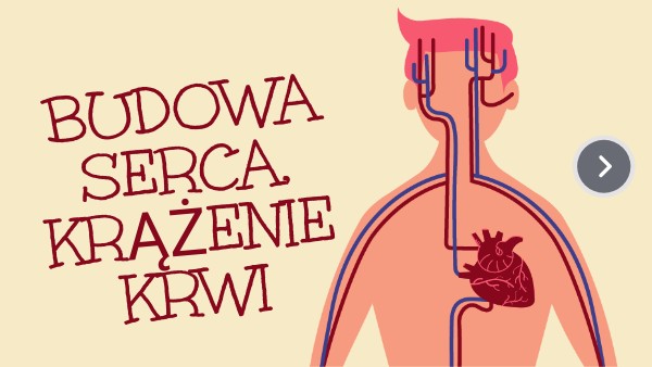 Budowa serca, krwiobiegi | Genially