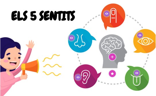 ELS 5 SENTITS