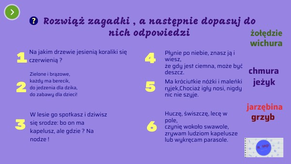 Zagadki jesienne na zajęciach kk