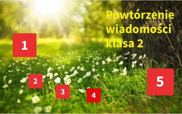 Powtórzenie wiadomości klasa 2