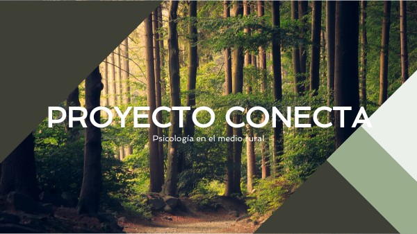 DIAGONAL PROJECT PRESENTATION | Genially