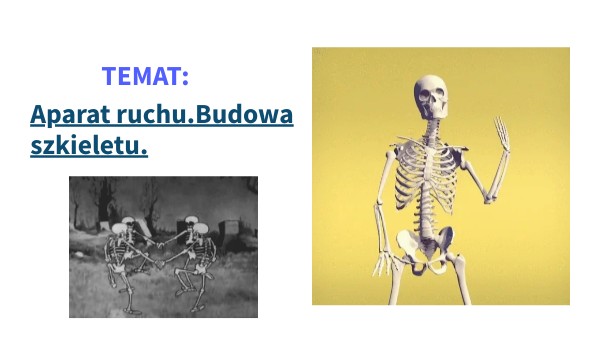 Aparat Ruchu Budowa Szkieletu Klasa 7 Aparat ruchu. Budowa człowieka