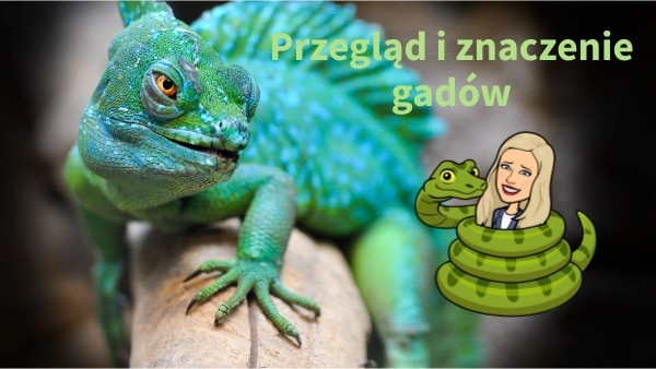 Przegląd I Znaczenie Płazów Przegląd i znaczenie gadów | Genially